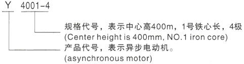 西安泰富西玛Y系列(H355-1000)高压YRKK5001-4/710KW三相异步电机型号说明